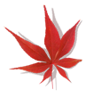 leaf_06_10_03.png